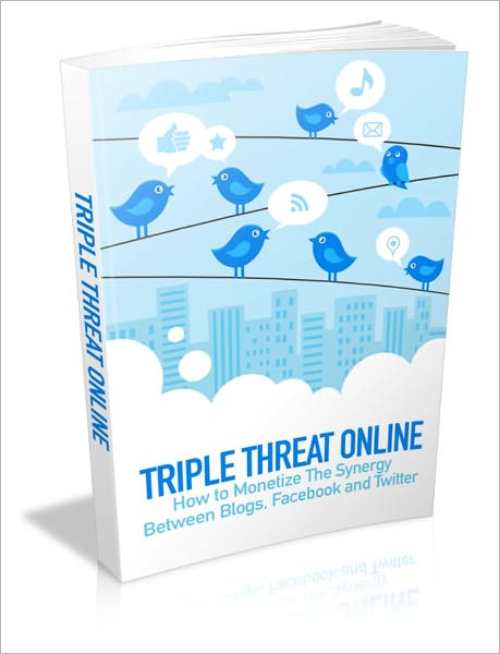 Triple Threat Online - How To Monetize The Synergy Between Blogs, Facebook And Twitter