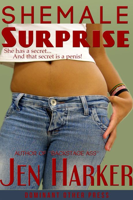 Shemale Surprise (gay bdsm transsexual erotic romance)