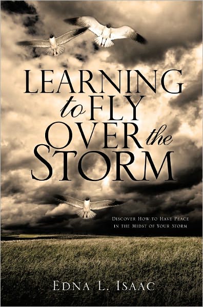 Learning To Fly Over The Storm