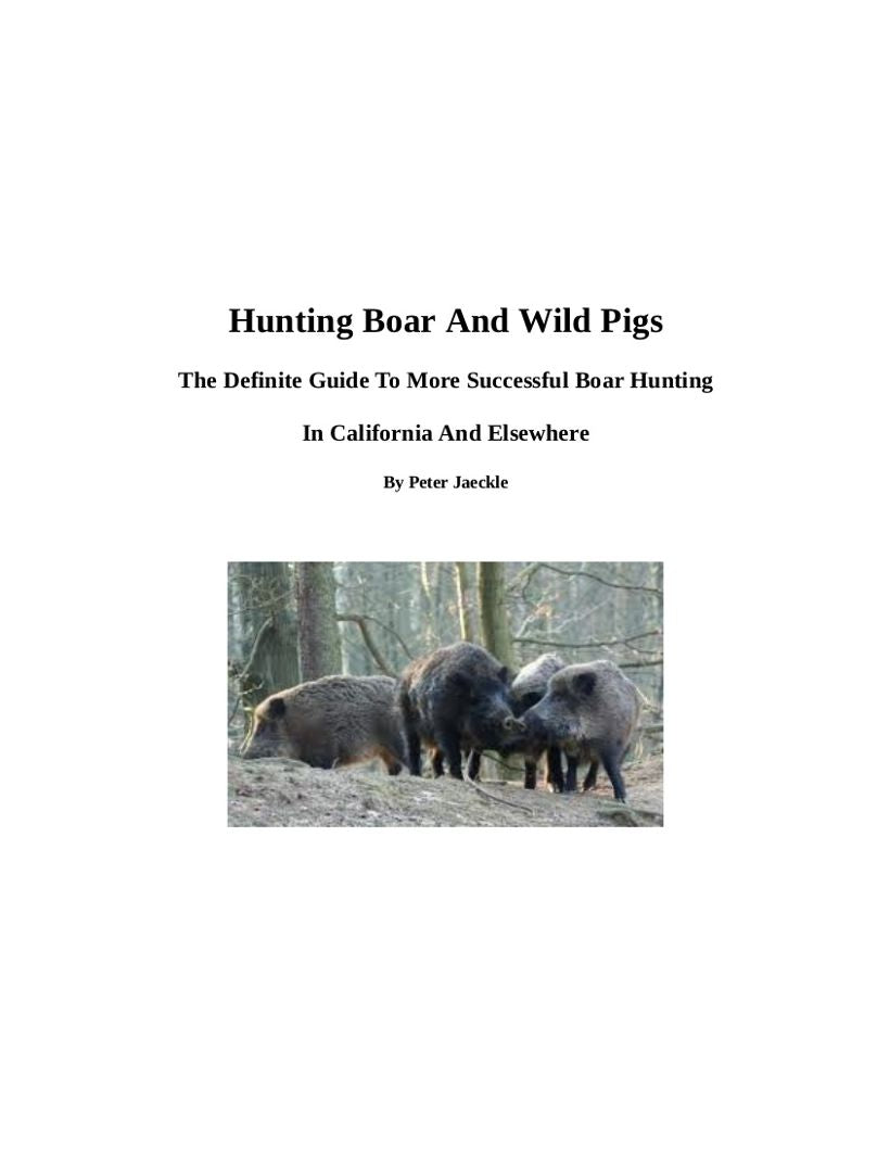 Hunting Boar And Wild Pigs - The Definite Guide To More Successful Boar Hunting In California And Elsewhere