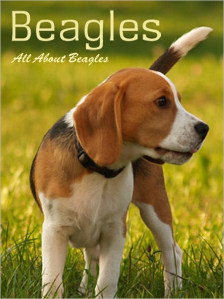 Beagles: All About Beagles