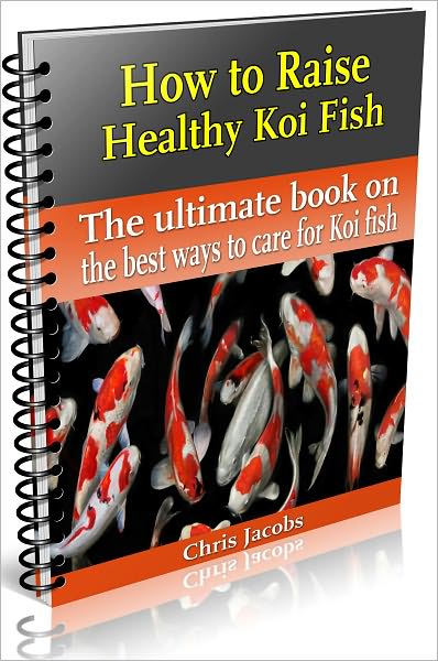 How to Raise Healthy Koi Fish