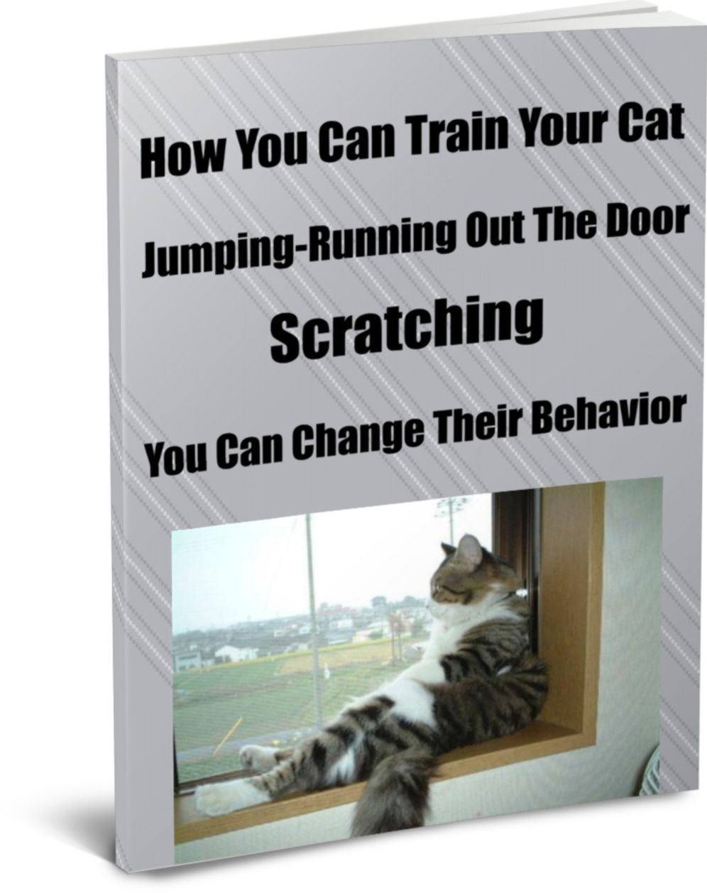 How You Can Train Your Cat Jumping-Running Out The Door, Scratching, You Can Change Their Behavior