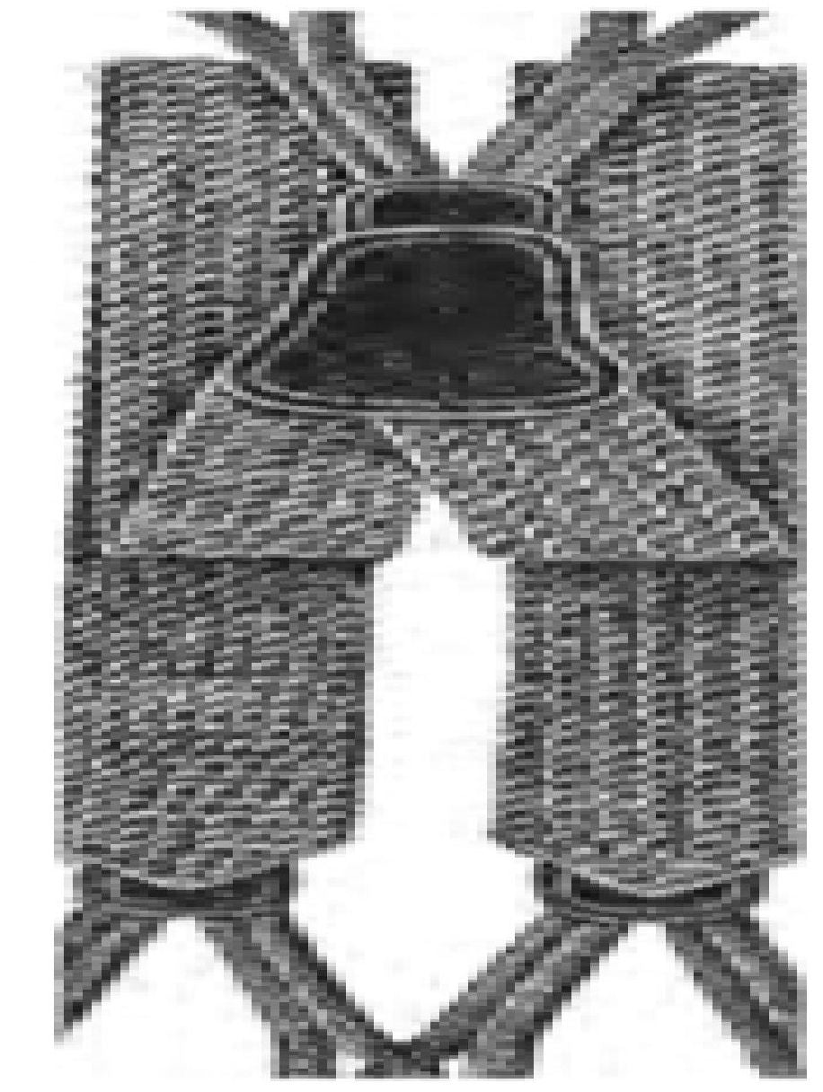 PATTERN #0363 SUSPENDERS VINTAGE CROCHET