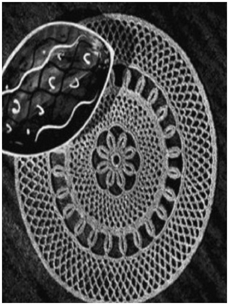 PATTERN #0391 SPARKLING JEWEL DOILY VINTAGE CROCHET