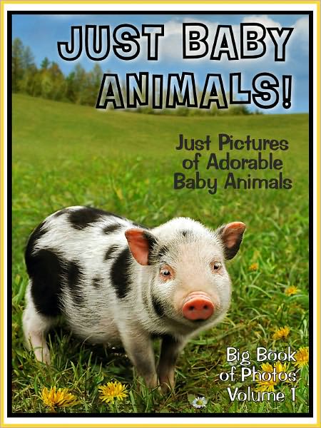 Just Baby Animal Photos! Big Book of Baby Animal Photographs & Pictures, Vol. 1