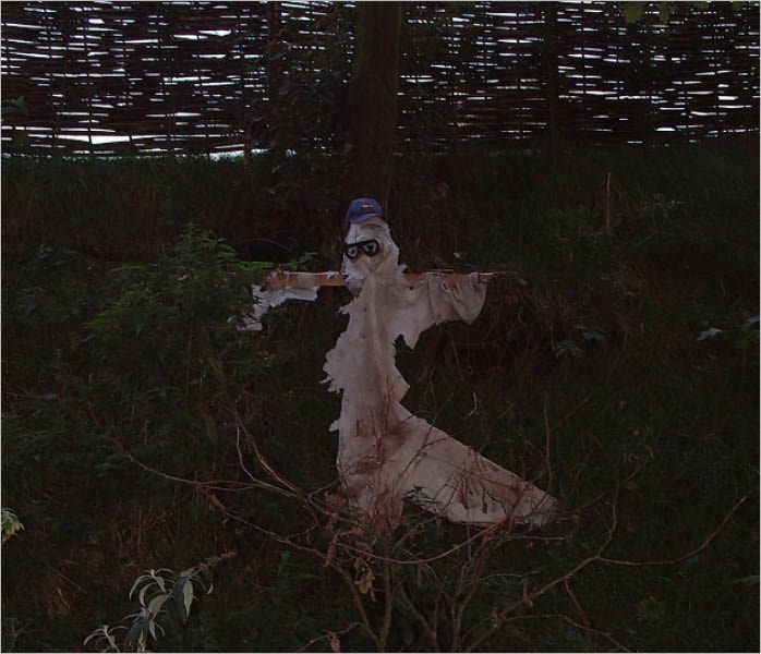 Animal Ghosts (Illustrated)