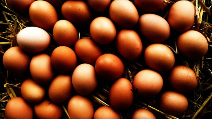 Many Ways for Cooking Eggs