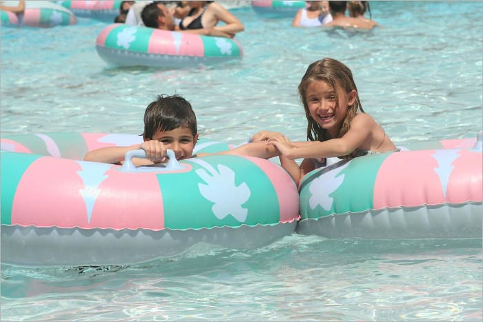 Disney World Guide: Get the Most Out of Your Disney World Vacation