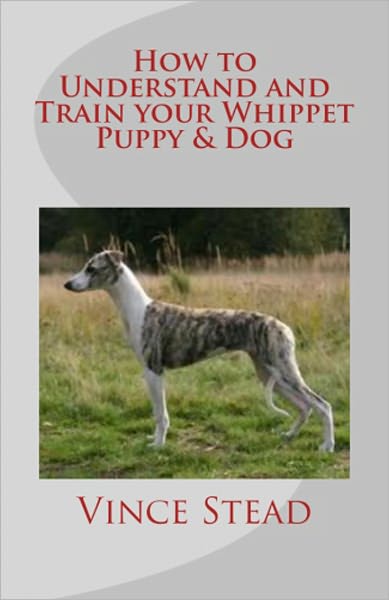 How to Understand and Train your Whippet Puppy & Dog