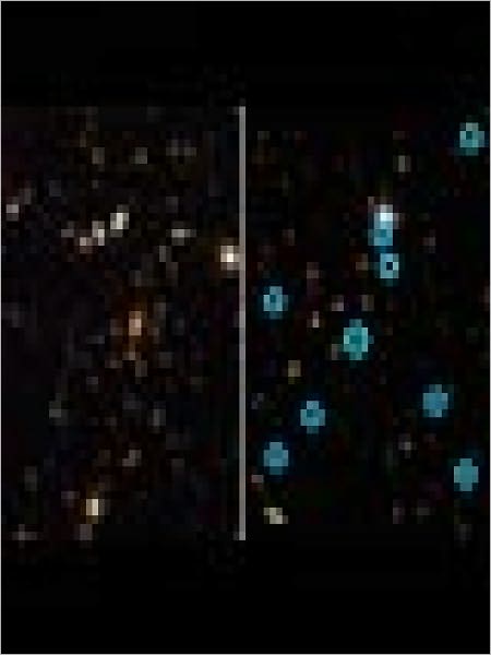 Images from Hubble's ACS Tell a Tale of Two Record-Breaking Galaxy Clusters