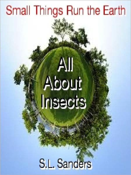 Small Things Run the Earth ‘All About Insects’