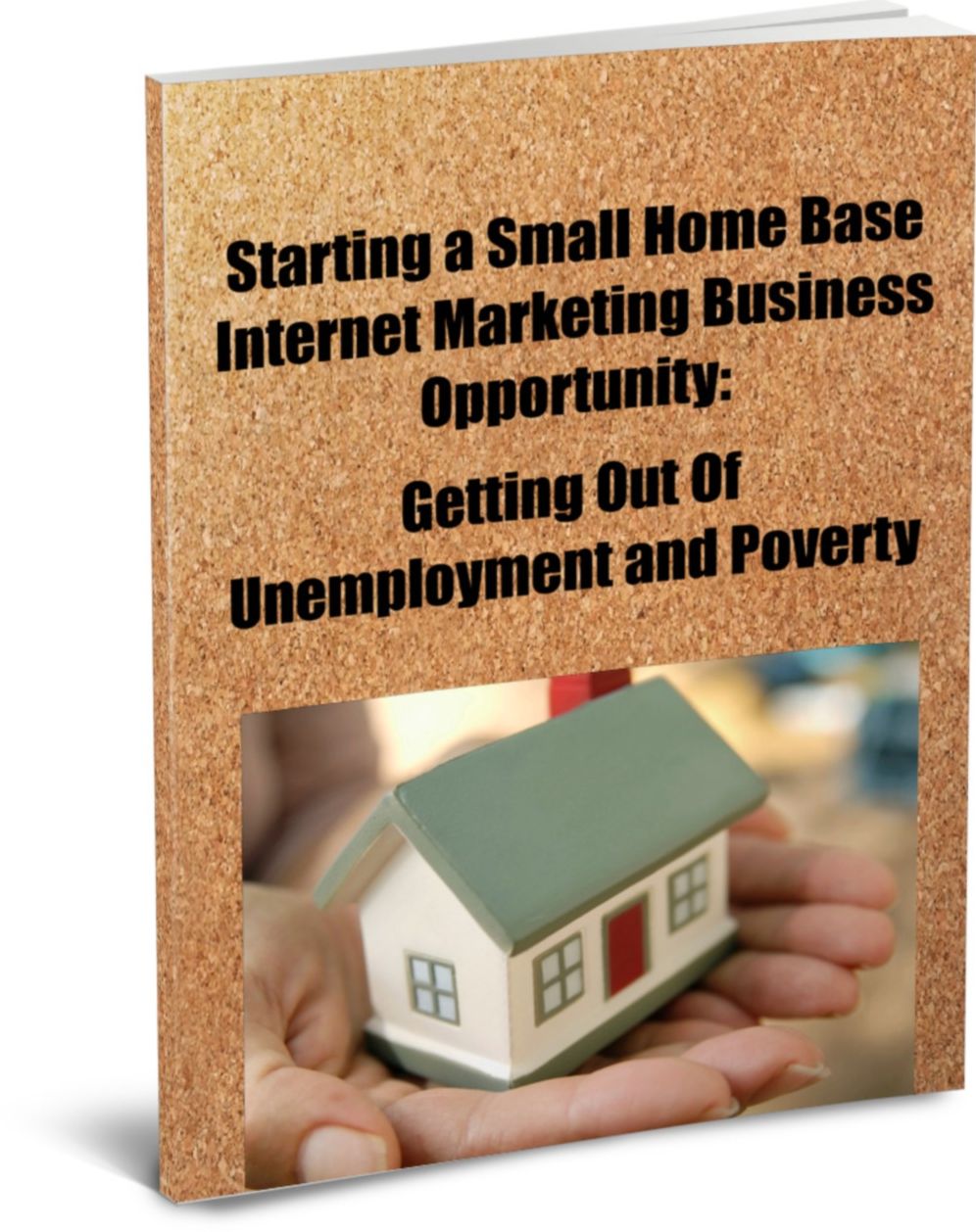 Starting a Small Home Base Internet Marketing Business Opportunity: Getting Out of Unemployment and Poverty