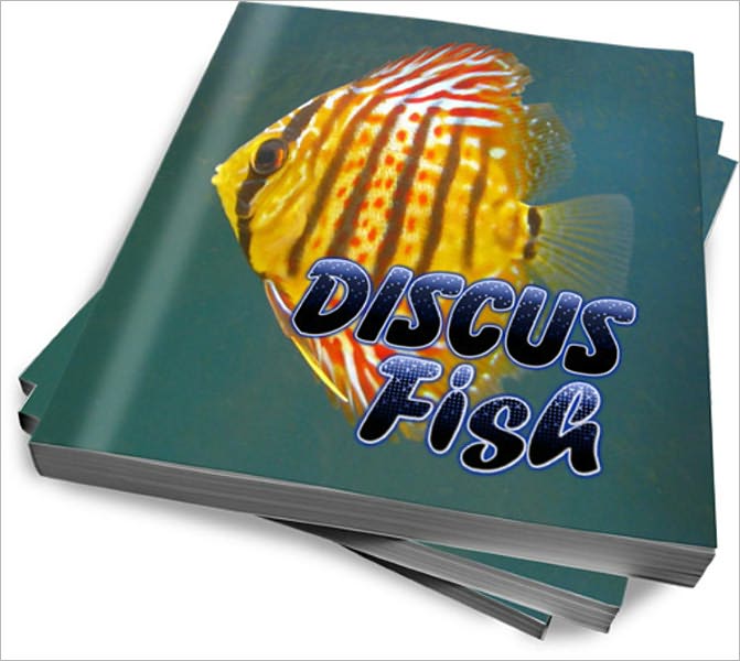 Care For Discus Fish – A Fish Lover's Guide