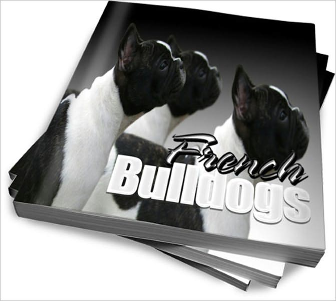 Care For French Bulldogs – A Dog Lover's Guide