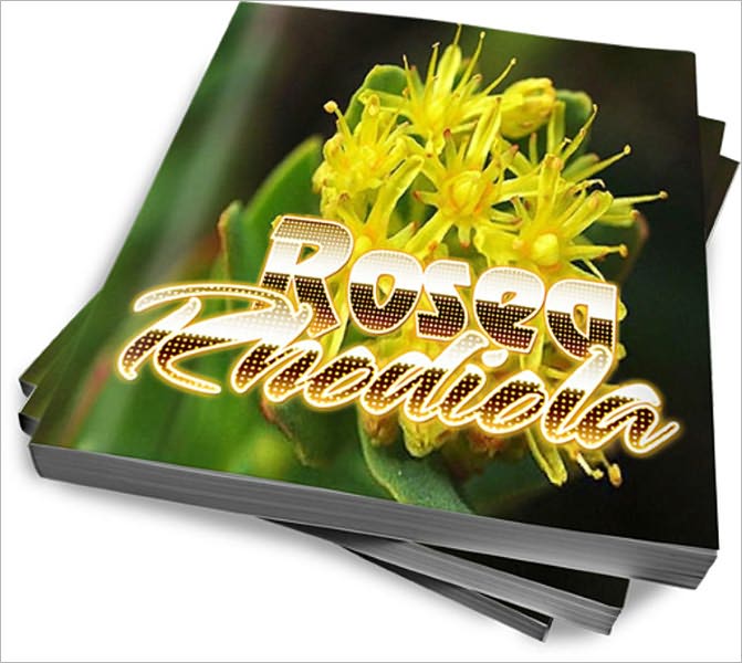 Discover The Great Health Benefits Of Rosea Rhodiola – Read Here Now!