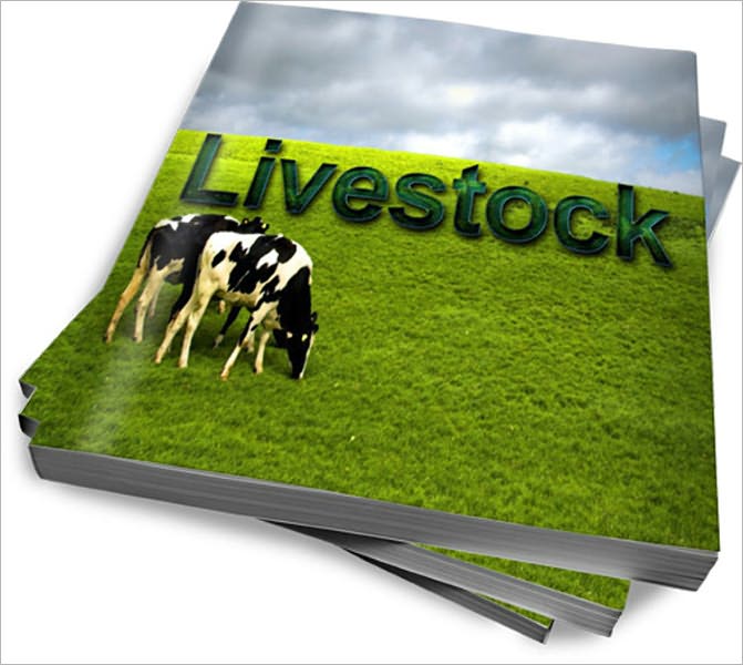 Breeding Livestock as a Business – Know The Best Options For You