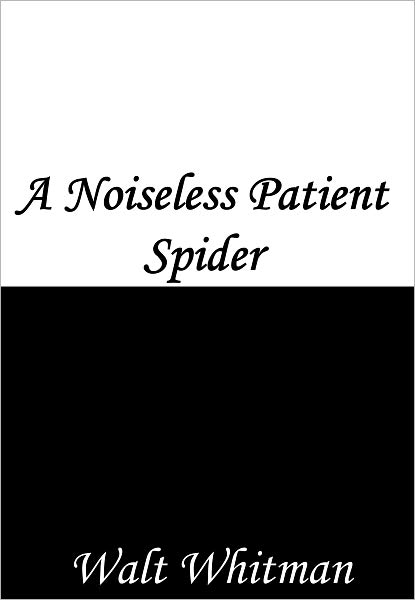 A Noiseless Patient Spider
