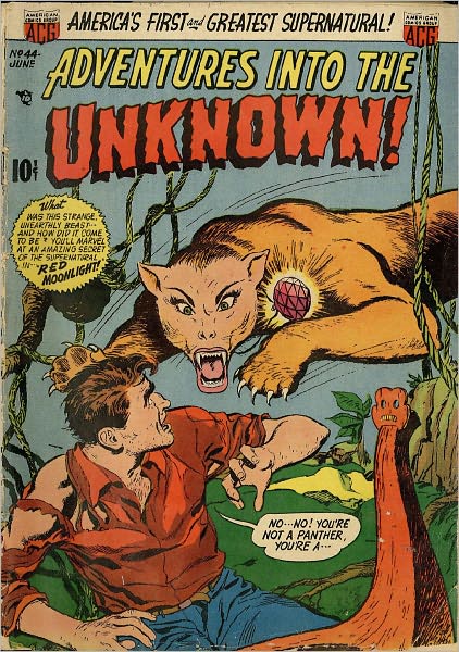 Adventures into the Unknown Number 44 Horror Comic Book