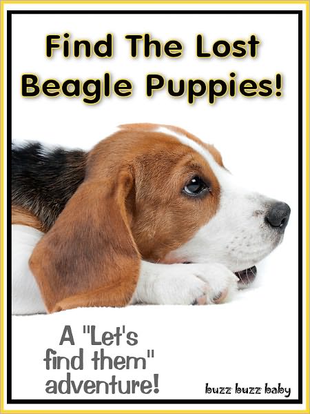 Find The Lost Beagle Puppies!