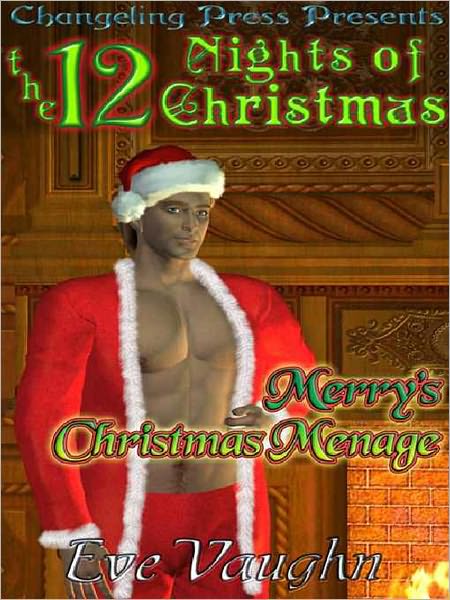 Merry's Christmas Menage
