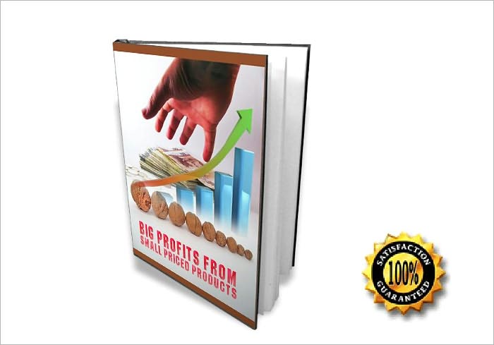 Big profits from small priced products