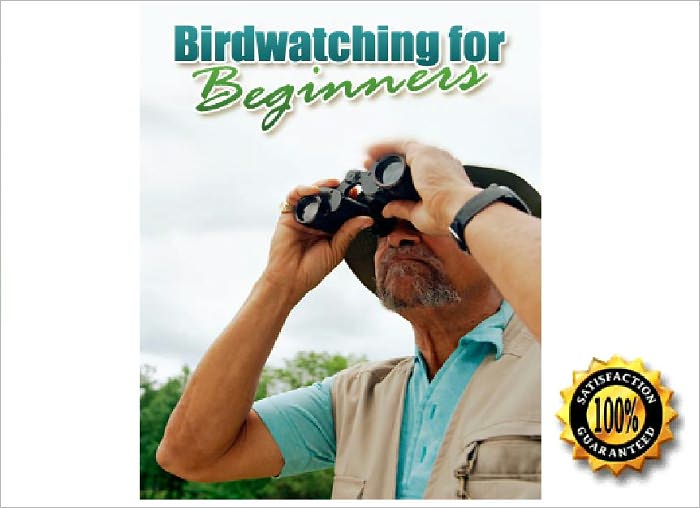 BIRD WATCHING FOR BEGINNERS