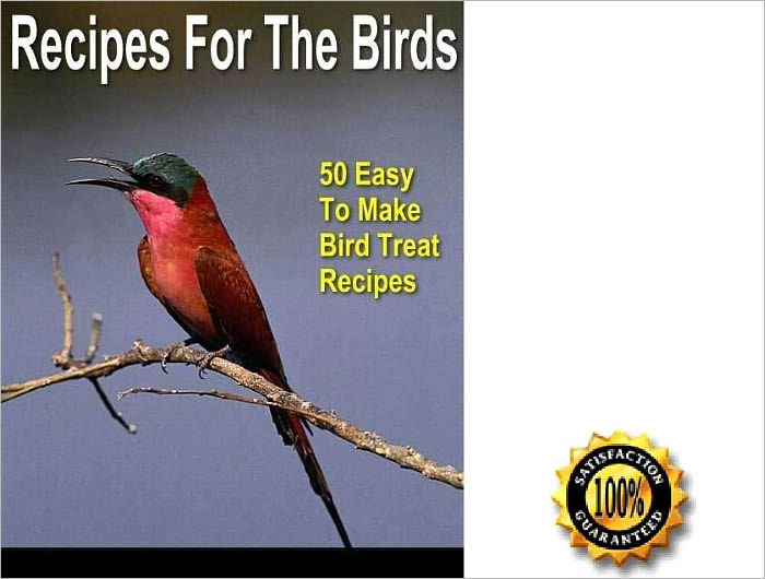 50 Easy To Make Bird Treats