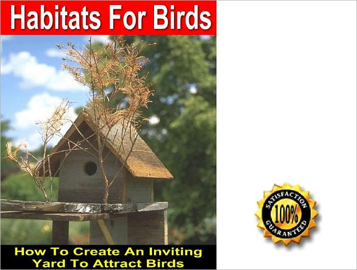 Habitats For Birds: How To Create An Inviting Yard To Attract Birds! AAA+++