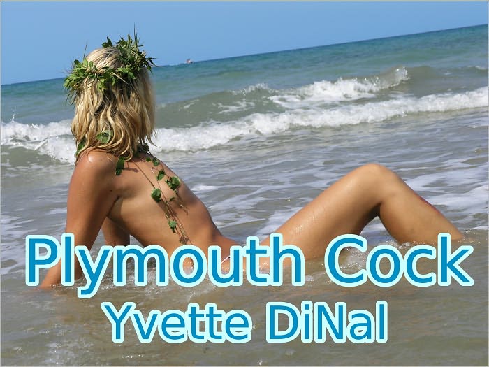 Plymouth Cock