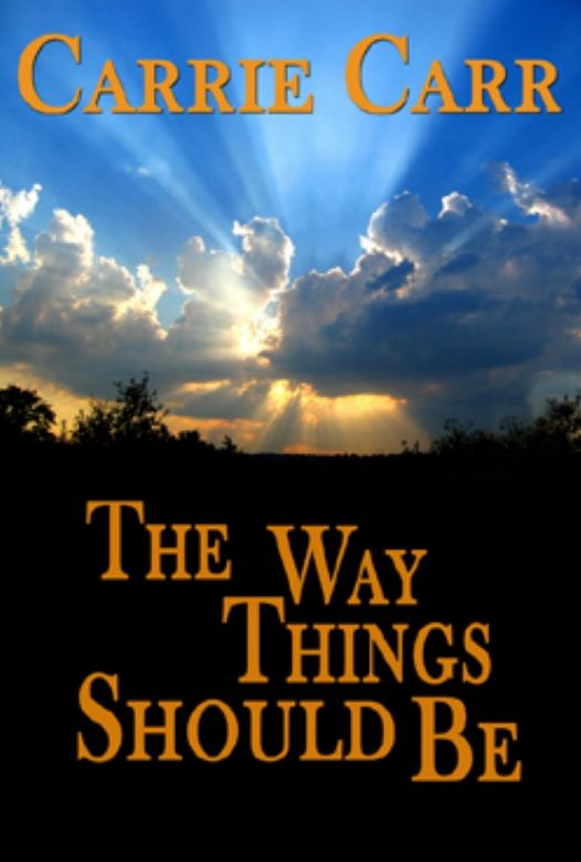 The Way Things Should Be: Book 6 in The Lex & Amanda Series