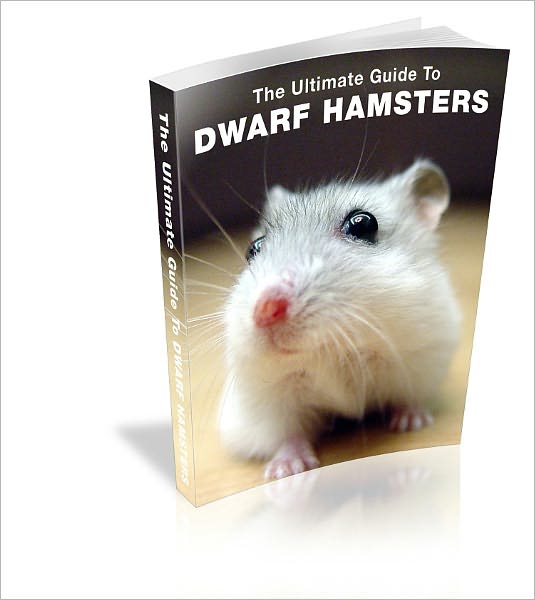 Raising A Healthy Dwarf Hamster: The Definitive Guide