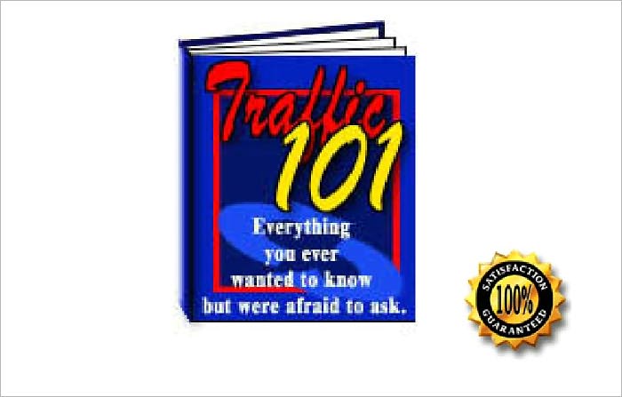 Traffic 101-You Can Drive More Traffic To Your Website!
