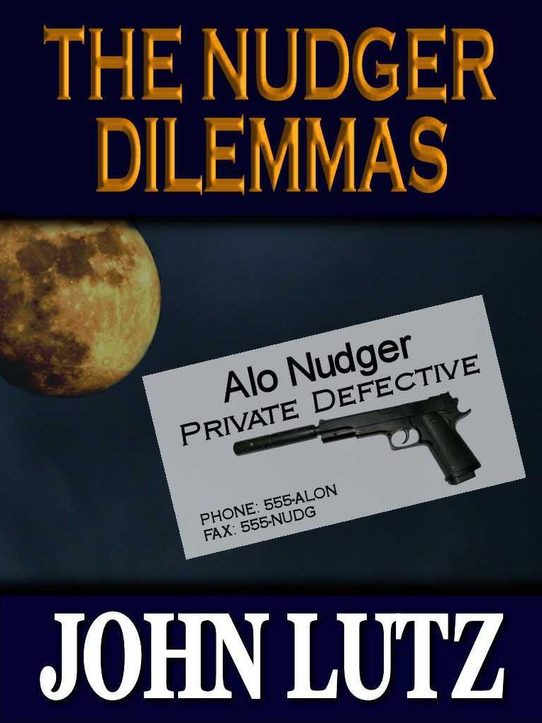 The Nudger Dilemmas