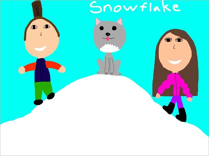 Snowflake Gets Lost