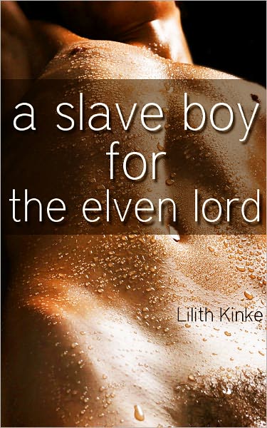 A Slave Boy For the Elven Lord