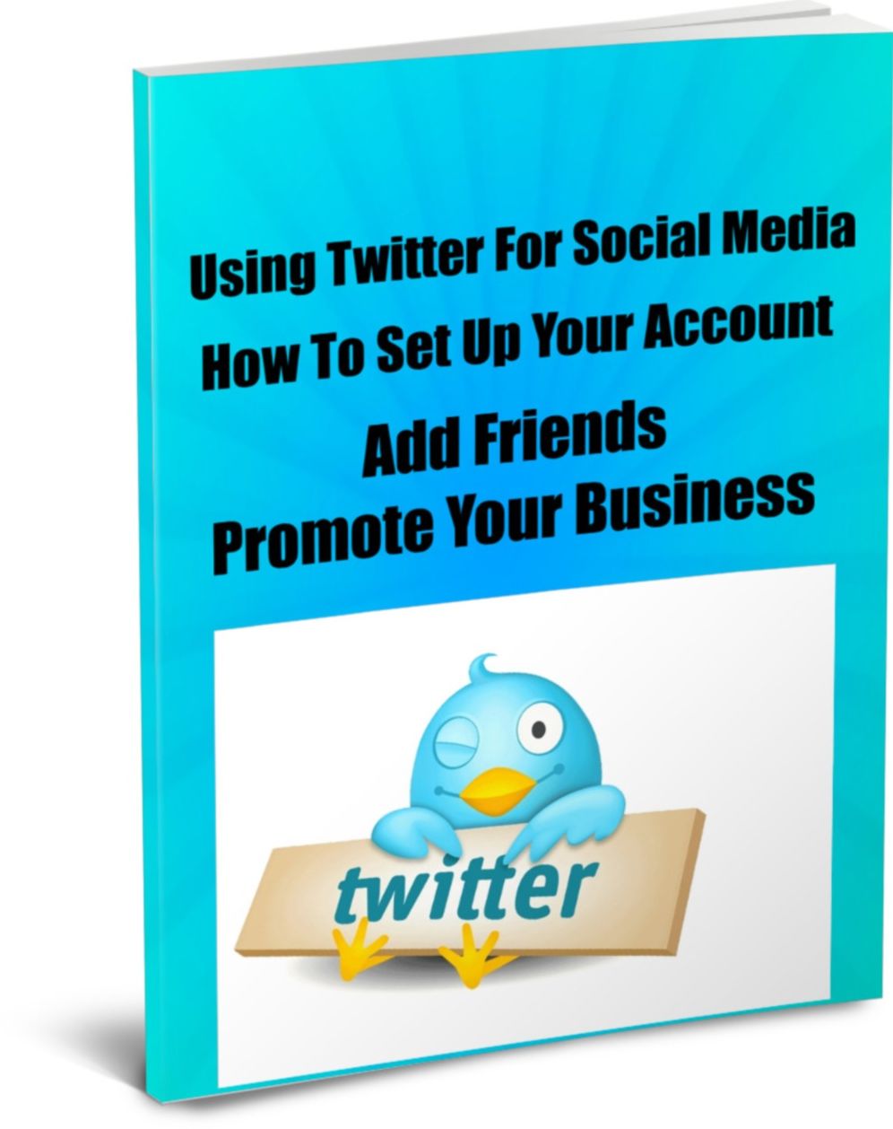 Using Twitter For Social Media-How To Set Up Your Account-Add Friends-Promote Your Business