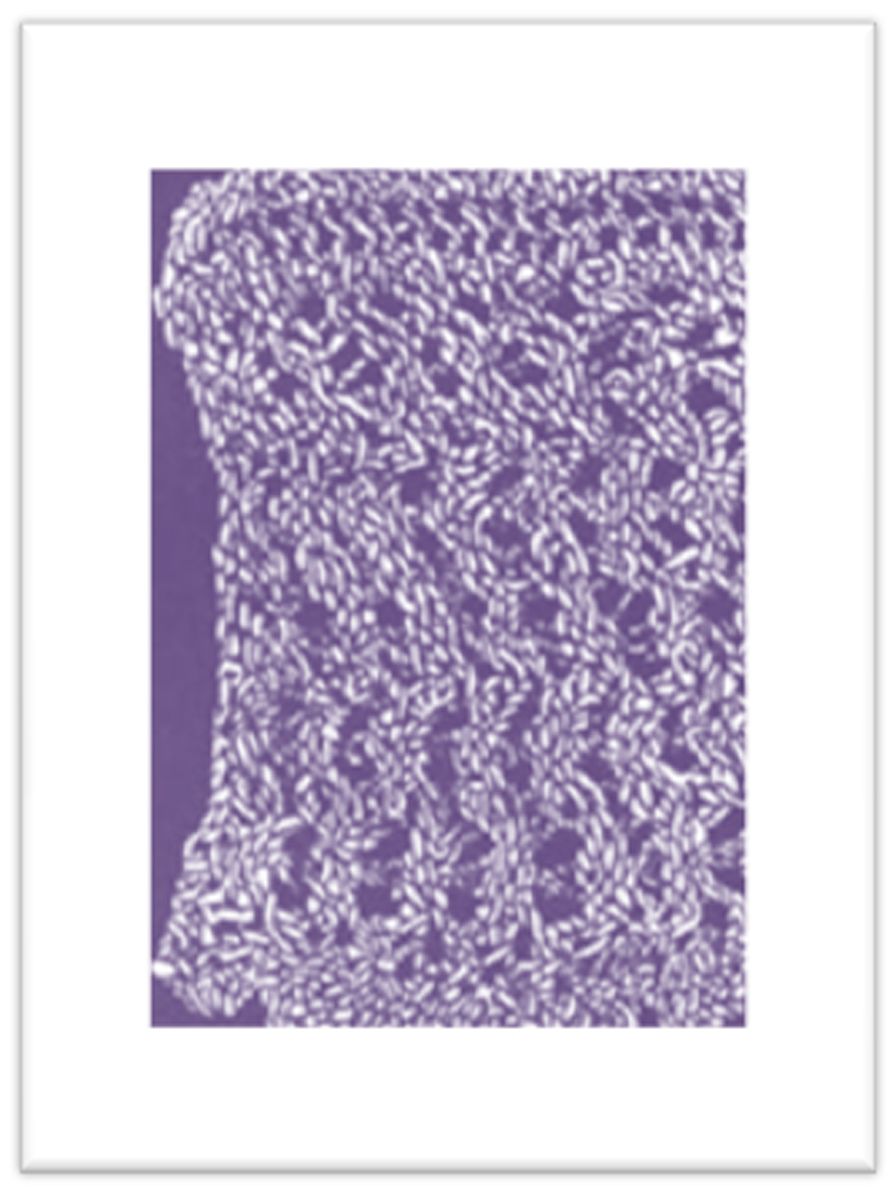 PATTERN #2094 KNIT EDGING VINTAGE KNITTING