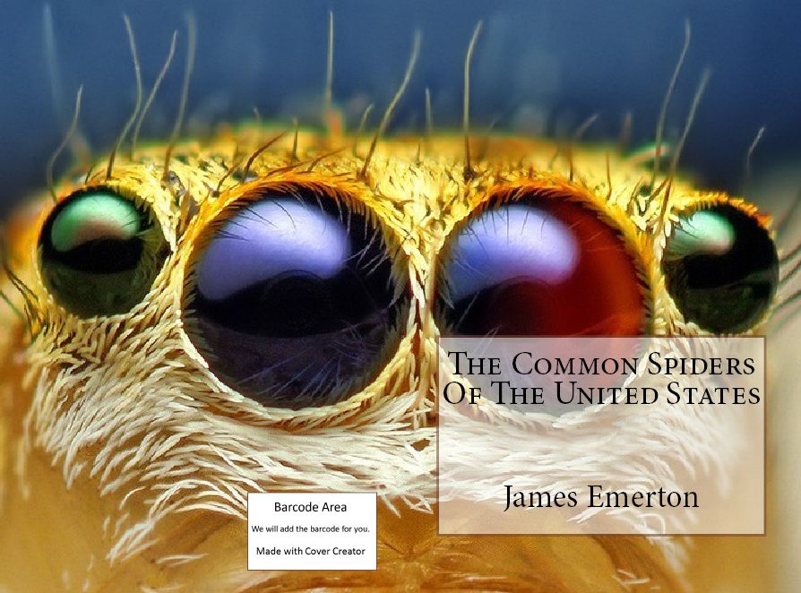 The Common Spiders of the United States(Annotated) ( pretty, fantastic, excellent, gorgeous, superb, bully )