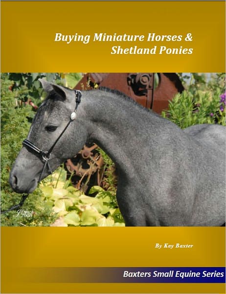 Buying Miniature Horses & Shetland Ponies