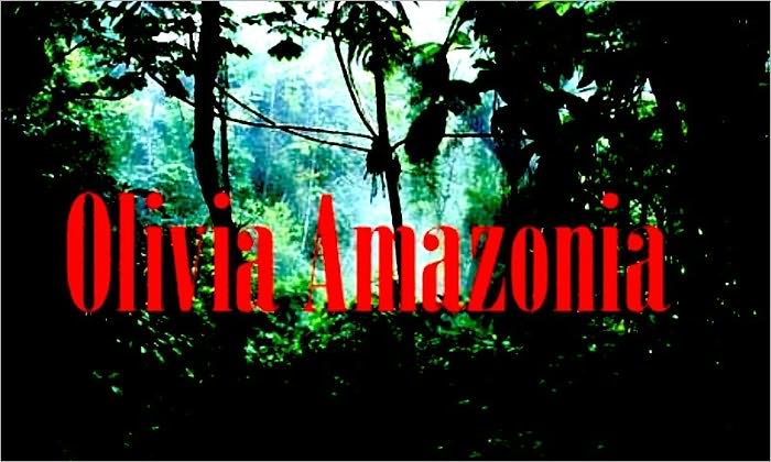 Olivia Amazonia