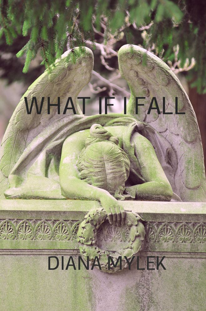 What if I Fall