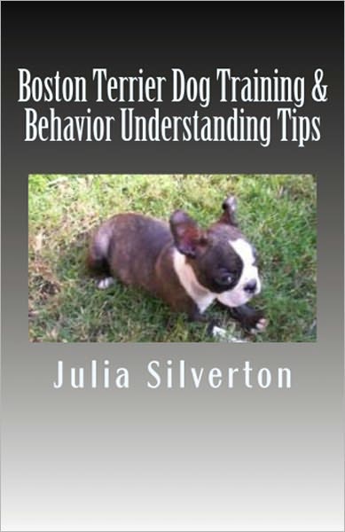 Boston Terrier Dog Training & Behavior Understanding Tips