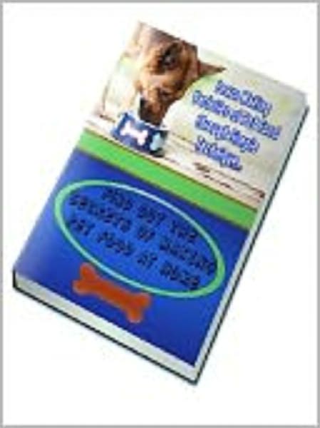 Making Pet Food At Home