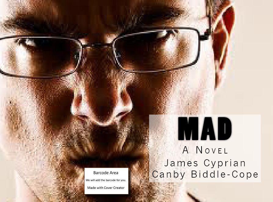 Humour Family: Mad ( mad, frantic, maniac, frenetic, moonstruck, berserk, insane, mentally deranged, loopy, demented, berserk, wild, moonstruck )