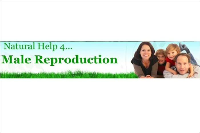 Natural Help for Male Reproductive Problems