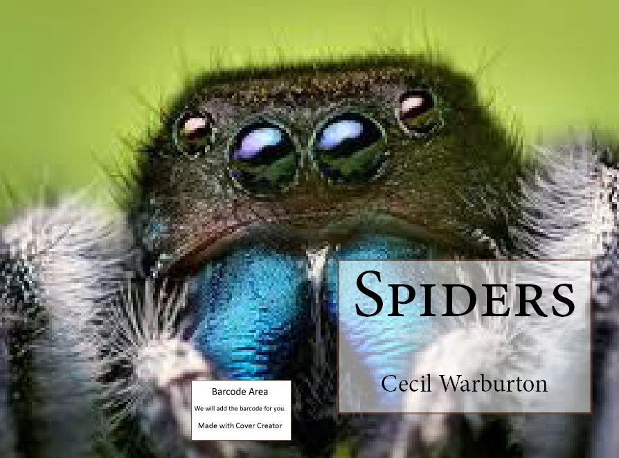 Photography: Spiders(Annotated) ( spider, arachnid, fisherman, cheat, hunter, fowler, spider, amazing photography)
