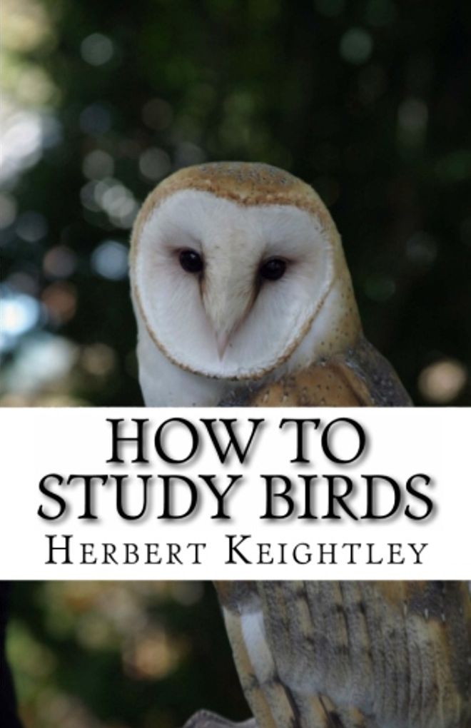nature: How to Study Birds ( nature Children, amazing animals, cutest animals, baby animals, wild, forest, beast, animals )