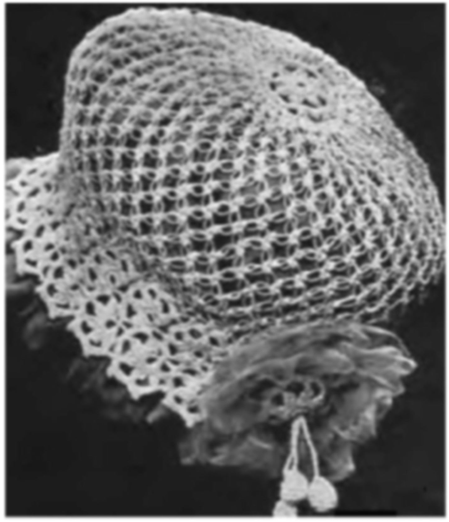 PATTERN #2553 LOVER'S KNOT BOUDOIR CAP VINTAGE CROCHET