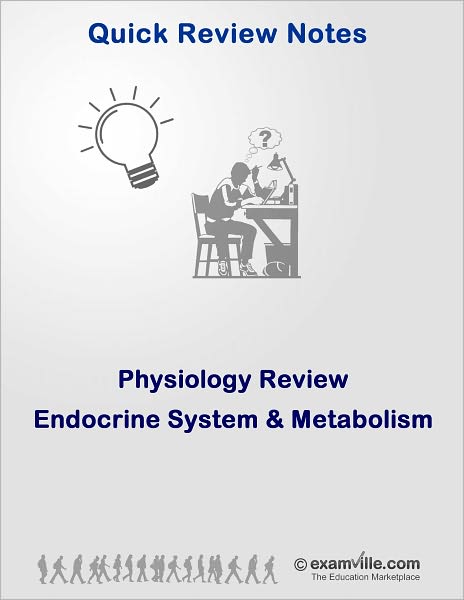 Endocrine System and Metabolism: Quick Physiology Review
